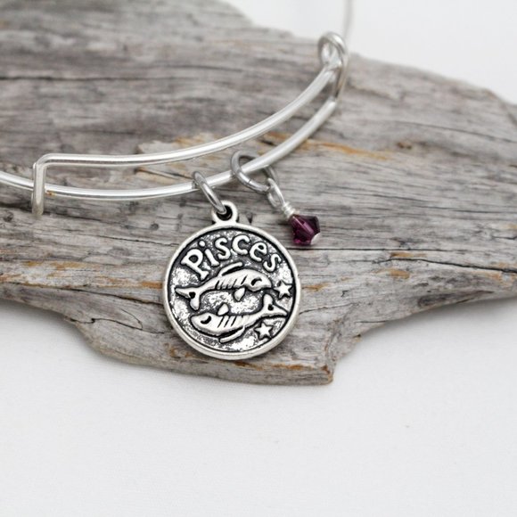 February Pisces Adjustable Charm Bangle - Handmade Zodiac Bracelet - Picture 2 of 11